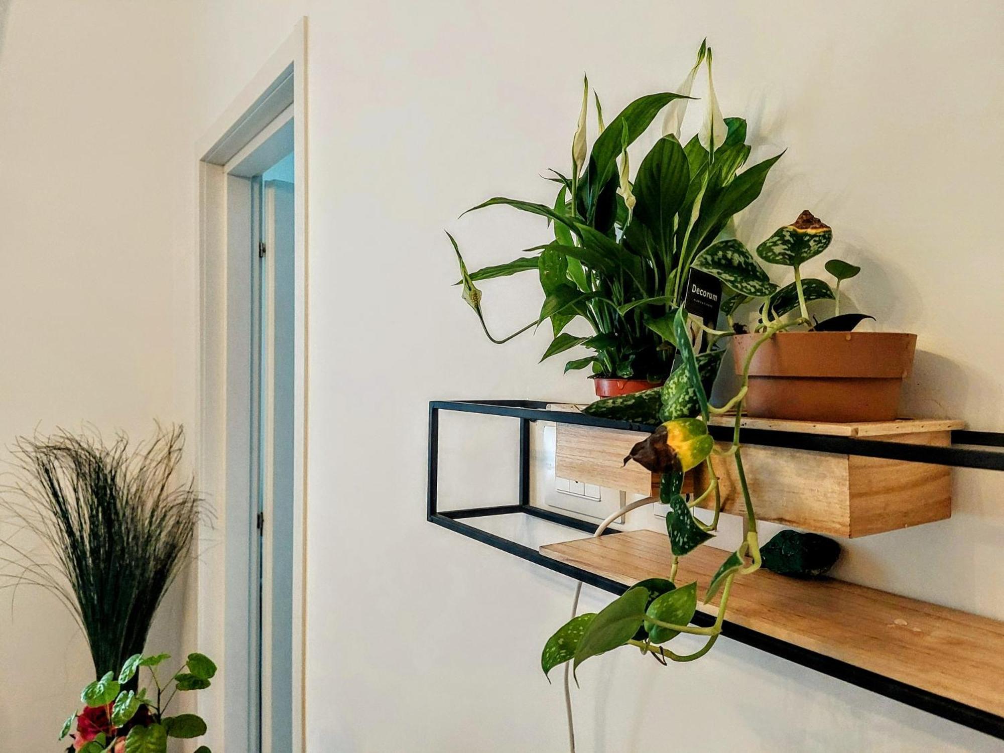 City Apartment - Il Ghiro Флоренция Екстериор снимка